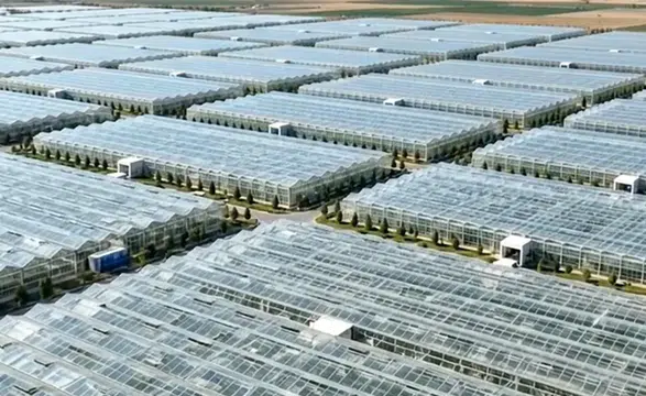 Silopi Sera OTB ekonomiye yıllık 1,2 milyar lira katkı sağlayacak