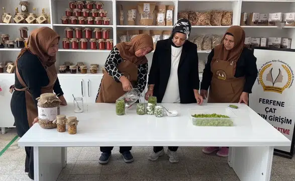 Nevşehir'in tescilli üzüm turşusu kadınların elinde hayat buldu