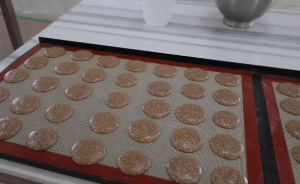Çölyak hastaları için tescilli kayısı çekirdeğinden glütensiz bisküvi üretildi