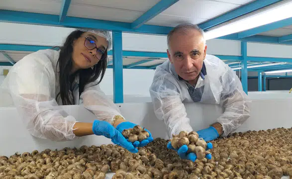 Topraksız tarımla önce kendi üretti şimdi danışmanlık yapıyor