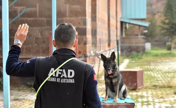 Van'da arama kurtarma köpekleri, hayat kurtarmak için eğitiliyor