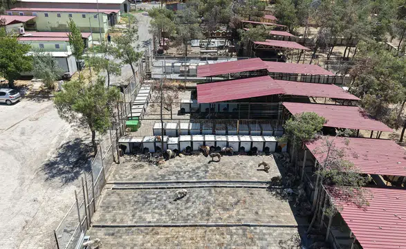 Kahramanmaraş’ta 5 binin üzerinde can dosta güvenli yaşam alanı