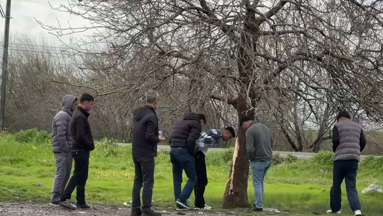 Diyarbakır'da ağaca yıldırım isabet etmesi sonucu 2 çocuk öldü