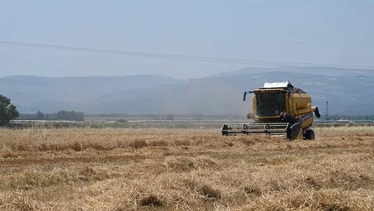 Güneydoğu’dan 5 ayda 1,5 milyar dolarlık hububat ihracatı yapıldı