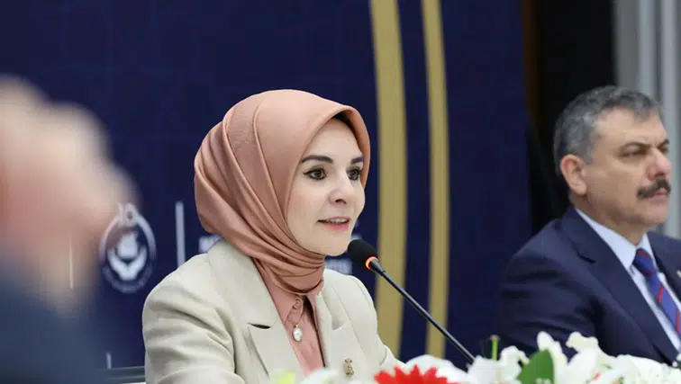 Kadına yönelik, yüksek riskli haneler tespit edilecek