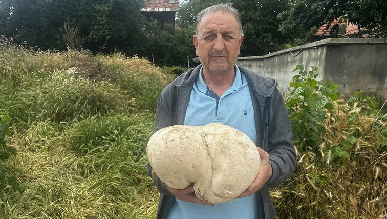 Çiftçi, bahçesinde 3 kilo 470 gram mantar buldu