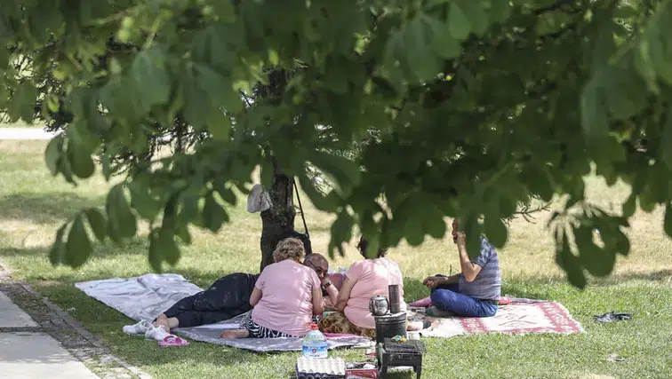 Sıcak havada piknik yapanlara gıda güvenliği uyarısı