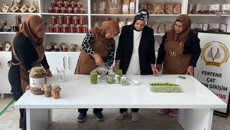 Nevşehir'in tescilli üzüm turşusu kadınların elinde hayat buldu
