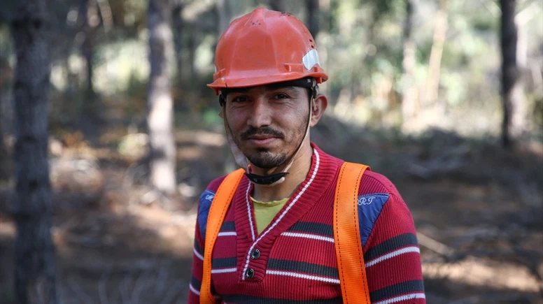 Çam fıstığının zorlu yolculuğu