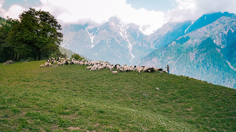 Ani köyünde mera kullanımının yasaklandığı iddialarına dair basın açıklaması