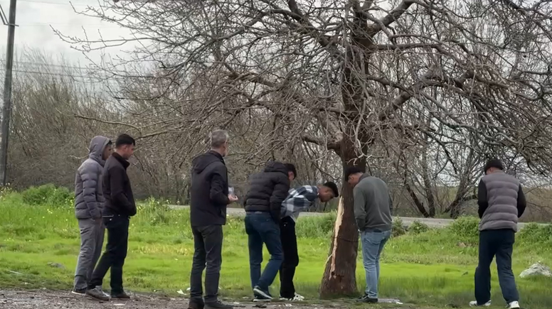 Diyarbakır'da ağaca yıldırım isabet etmesi sonucu 2 çocuk öldü