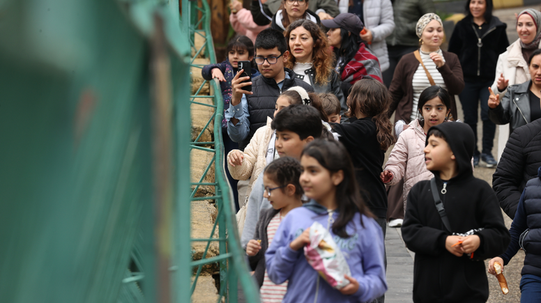 Gaziantep Hayvanat Bahçesi 3 ayda 1,5 milyonun üzerinde ziyaretçi çekti