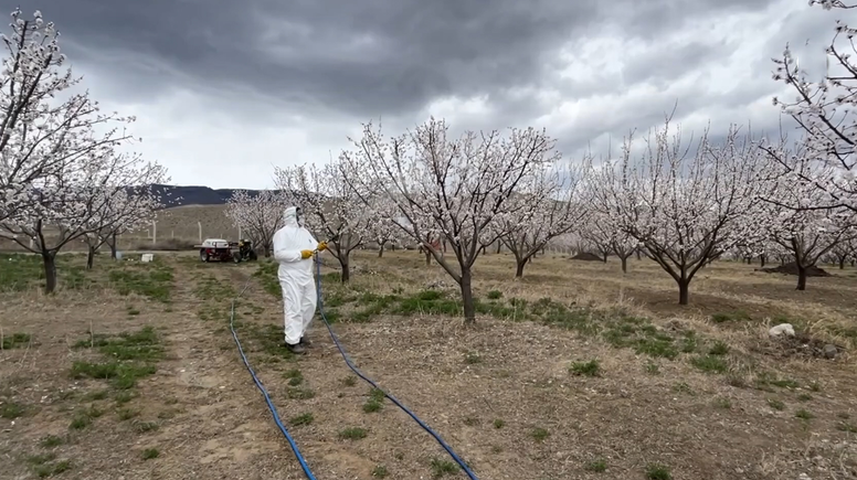 Tarım ekipleri baharda zirai don uyarısı için sahada
