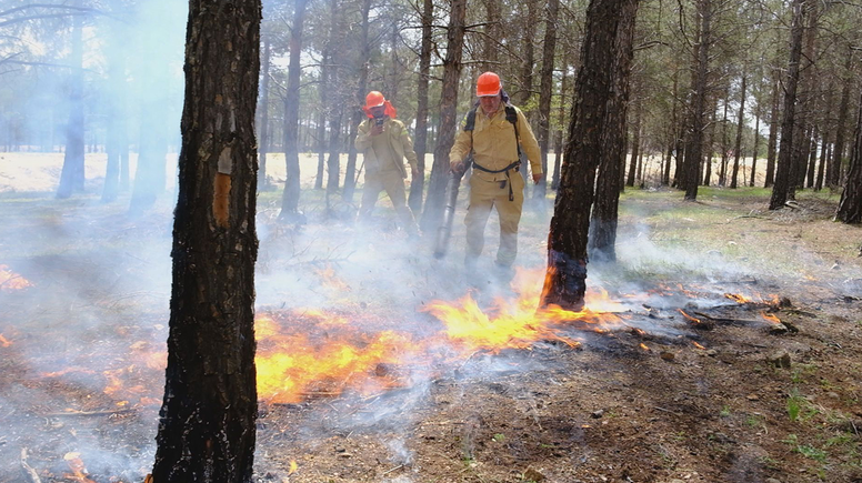 Yaz sezonu öncesi orman yangını tatbikatı