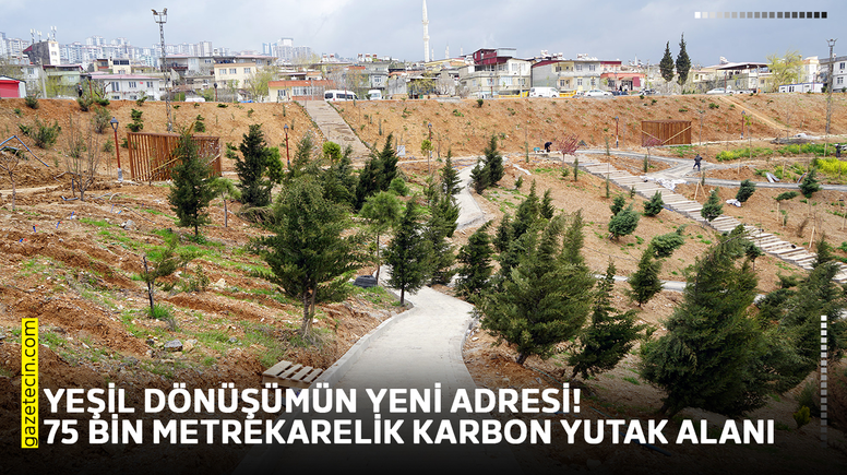 Yeşil dönüşümün yeni adresi!75 bin metrekarelik karbon yutak alanı