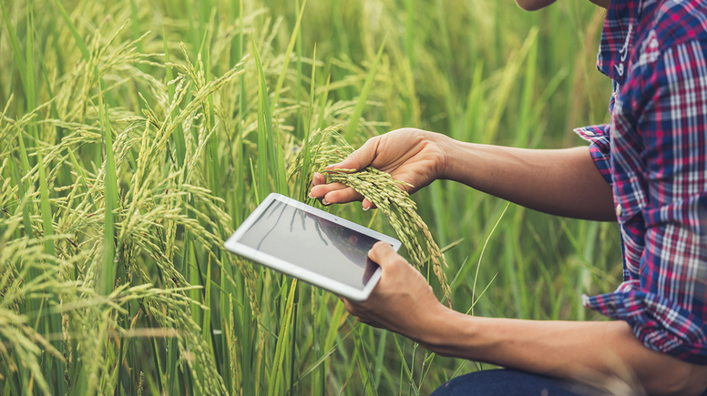 YÖK tarımsal teknoloji alanında yeni programlar açacak