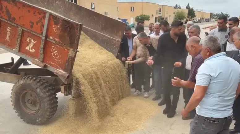 Mardin'de sezonun ilk arpa hasadı yapıldı