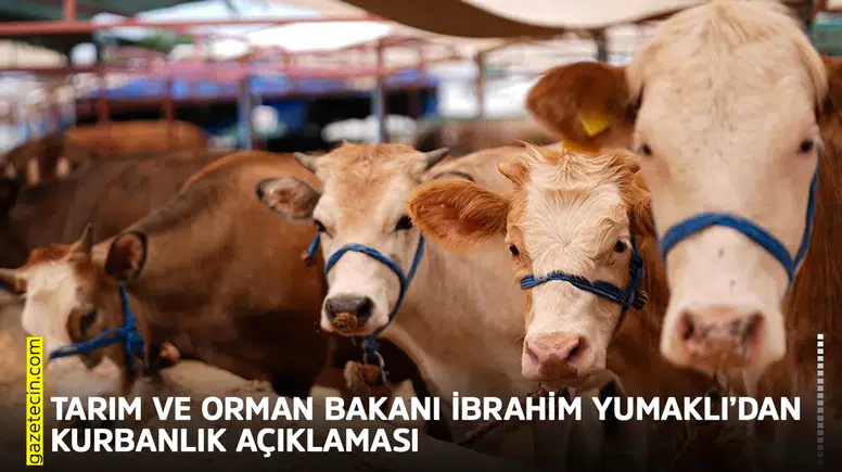 Tarım ve Orman Bakanı İbrahim Yumaklı’dan kurbanlık açıklaması