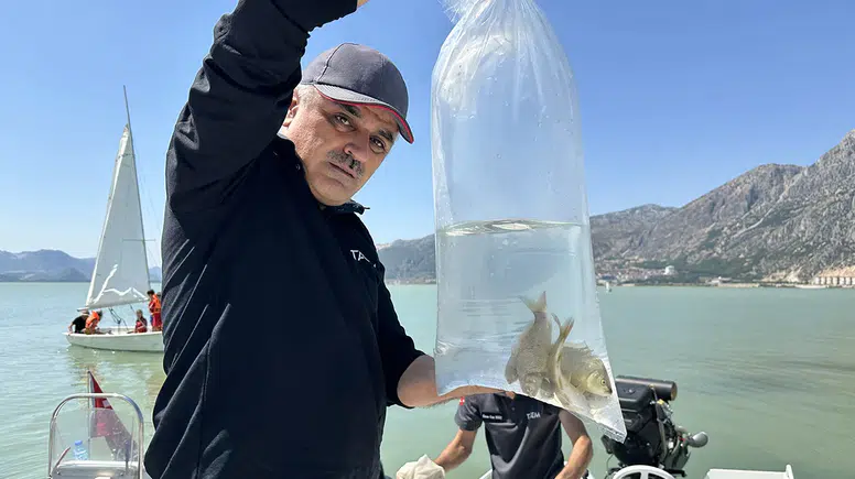 Eğirdir Gölü'ne yaklaşık 100 bin pullu sazan yavrusu bırakıldı