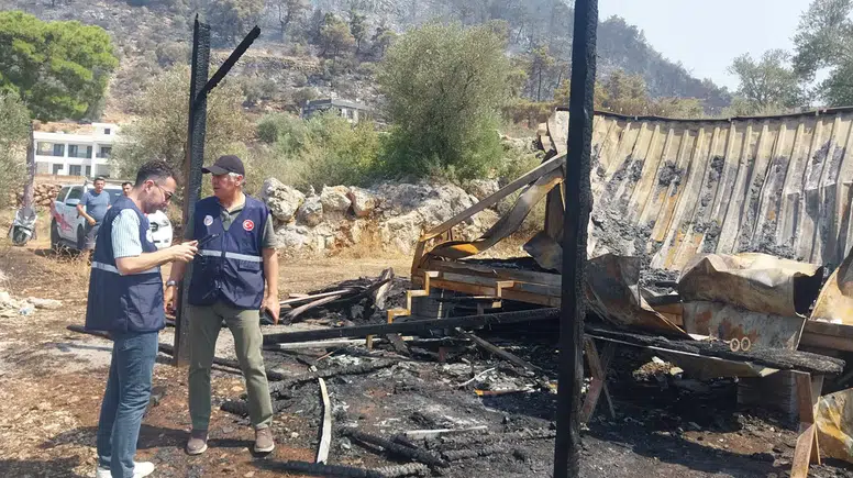 Bakan Kurum, orman yangınlarında hasar tespit durumunu açıkladı