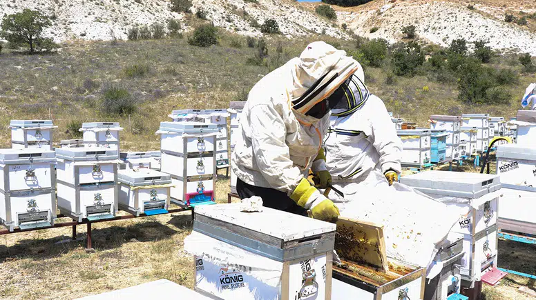 Endemik bitkilerden beslenen arılar, Özvatan balına lezzet katıyor