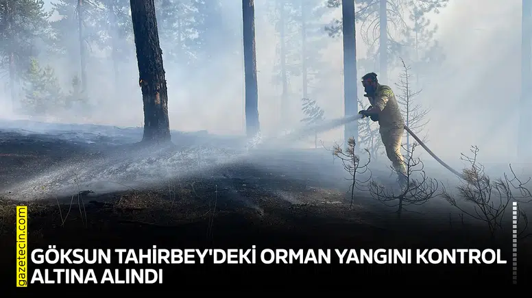 Göksun Tahirbey'deki orman yangını kontrol altına alındı