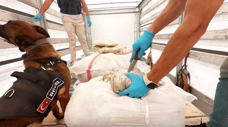 6 binden fazla personelle 24 ilde eş zamanlı dev uyuşturucu operasyonu