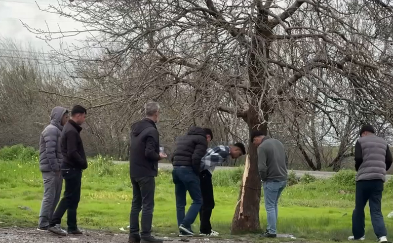 Diyarbakır'da ağaca yıldırım isabet etmesi sonucu 2 çocuk öldü