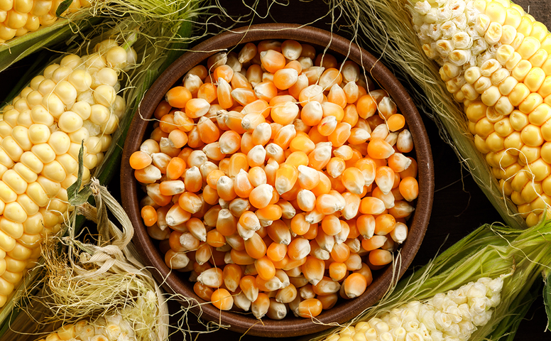 Mısır ithalatına sınırlı kontenjan