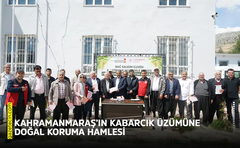 Kahramanmaraş’ın Kabarcık üzümüne doğal koruma hamlesi