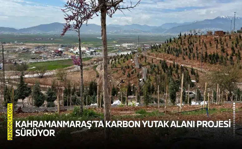 Kahramanmaraş’ta karbon yutak alanı projesi sürüyor