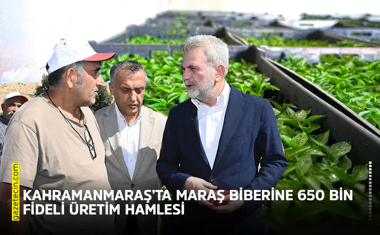 Kahramanmaraş’ta Maraş Biberine 650 bin fideli üretim hamlesi