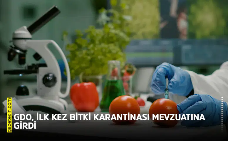 GDO, ilk kez bitki karantinası mevzuatına girdi!
