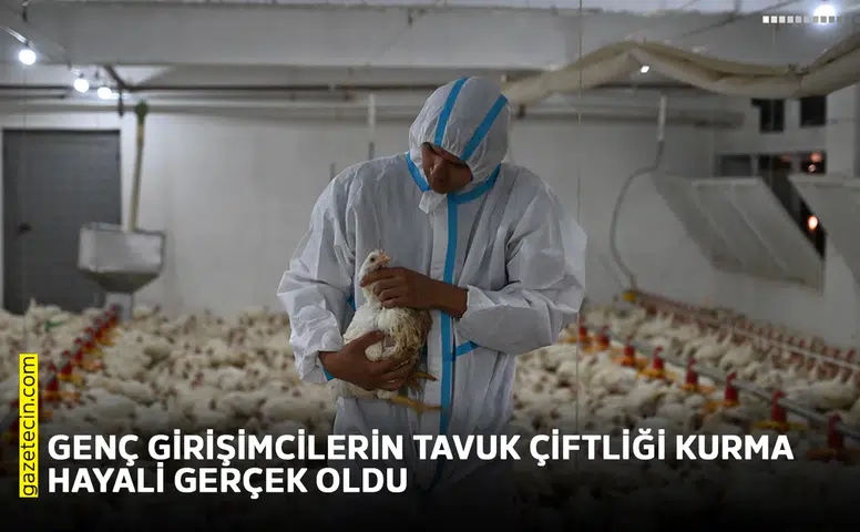 Genç girişimcilerin tavuk çiftliği kurma hayali gerçek oldu
