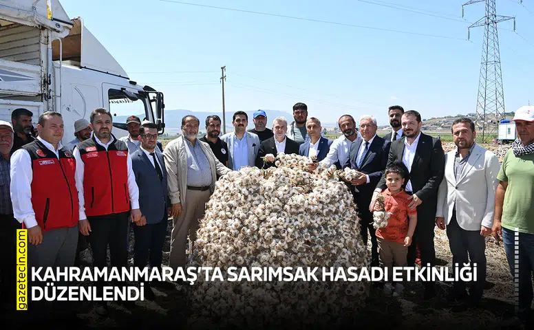 Kahramanmaraş'ta sarımsak hasadı etkinliği düzenlendi