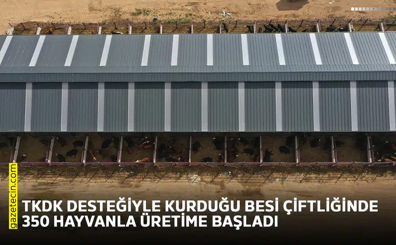 TKDK desteğiyle kurduğu besi çiftliğinde 350 hayvanla üretime başladı