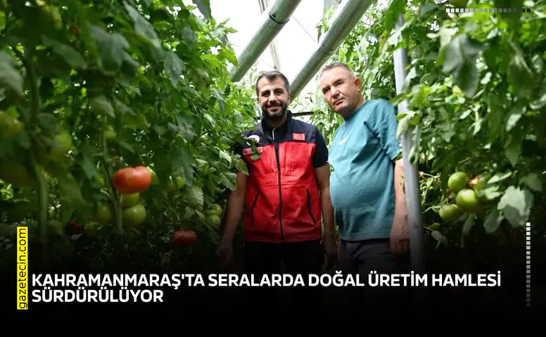 Kahramanmaraş'ta seralarda doğal üretim hamlesi sürdürülüyor