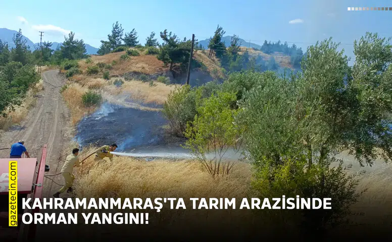 Kahramanmaraş'ta tarım arazisinde orman yangını!