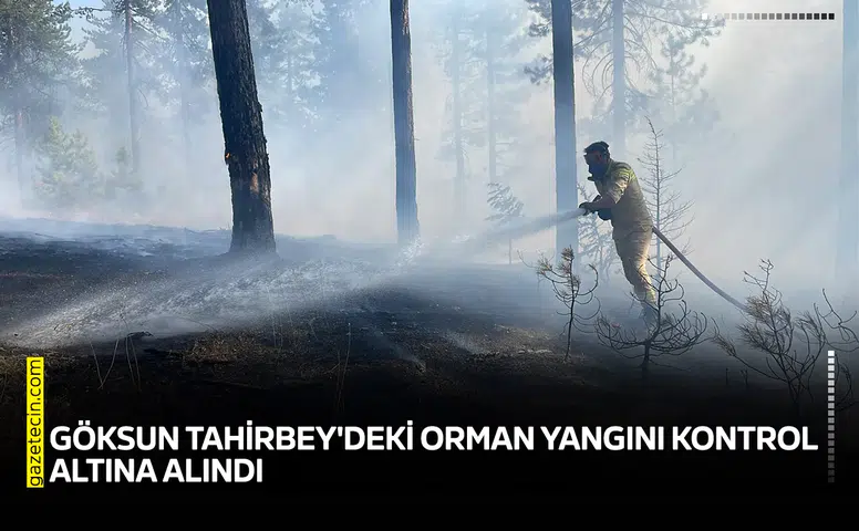 Göksun Tahirbey'deki orman yangını kontrol altına alındı