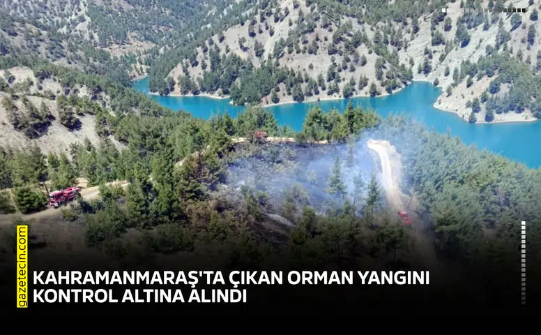 Kahramanmaraş'ta çıkan orman yangını kontrol altına alındı