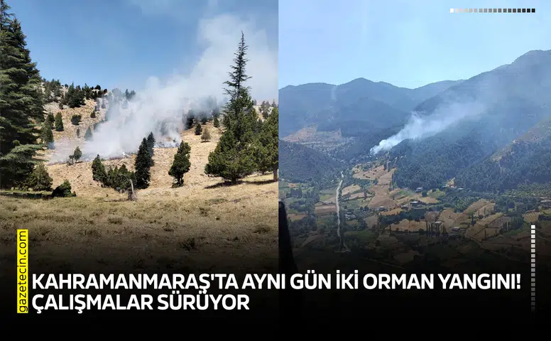 Kahramanmaraş'ta aynı gün iki orman yangını! Çalışmalar sürüyor