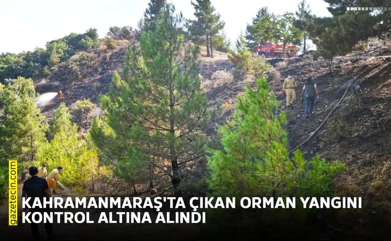 Kahramanmaraş'ta çıkan orman yangını kontrol altına alındı