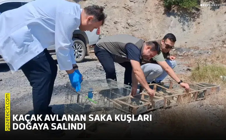 Kaçak avlanan saka kuşları doğaya salındı