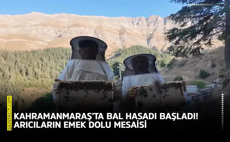 Kahramanmaraş’ta bal hasadı başladı! Arıcıların emek dolu mesaisi