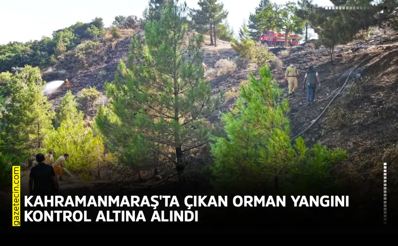 Kahramanmaraş'ta çıkan orman yangını kontrol altına alındı