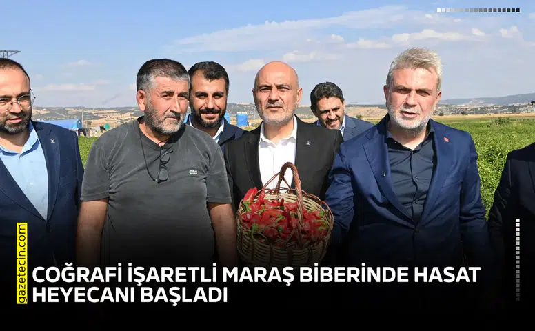Coğrafi işaretli Maraş Biberinde hasat heyecanı başladı