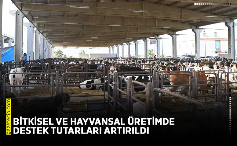 Bitkisel ve hayvansal üretimde destek tutarları artırıldı