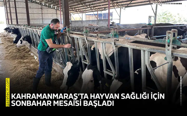 Kahramanmaraş’ta hayvan sağlığı için sonbahar mesaisi başladı