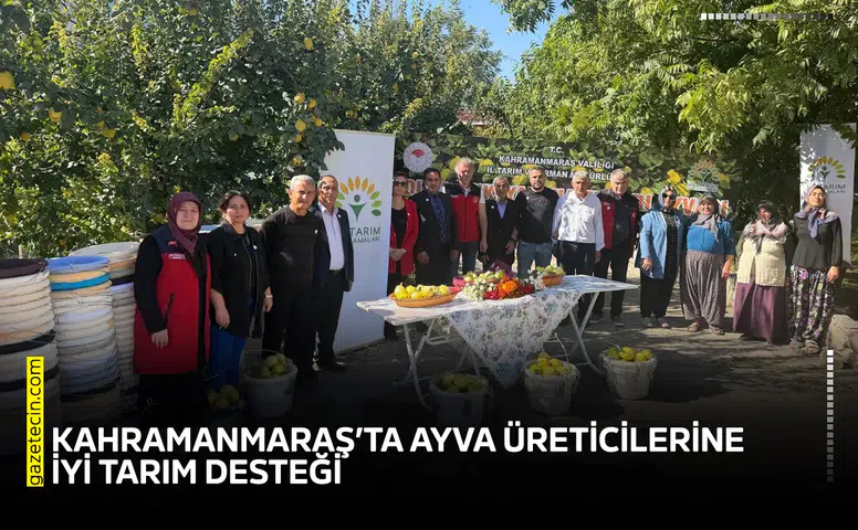 Kahramanmaraş’ta ayva üreticilerine iyi tarım desteği