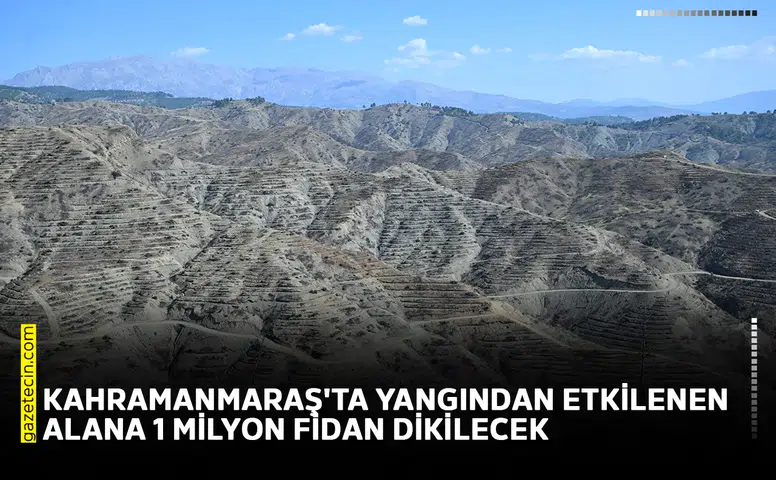 Kahramanmaraş'ta yangından etkilenen alana 1 milyon fidan dikilecek
